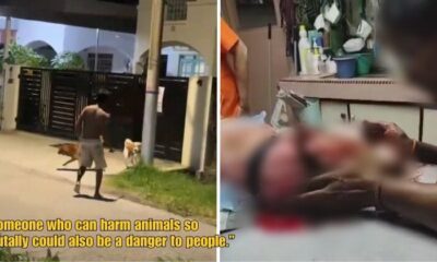 Dd FT 2025 09 29T103607.014