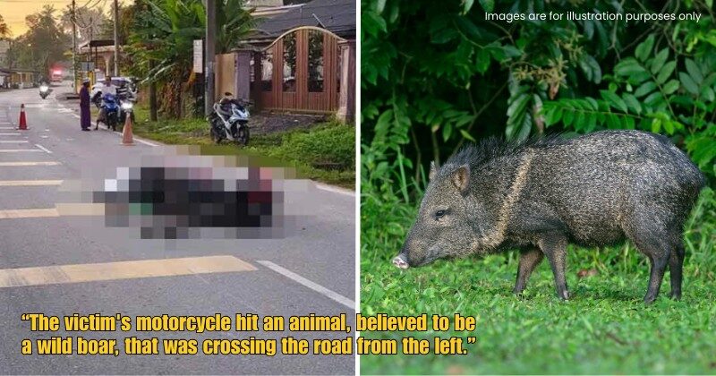 Dd FT 2025 09 29T141320.880