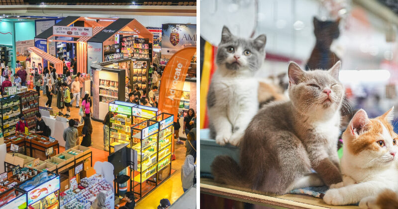 EKSPO KUCING FEATURE