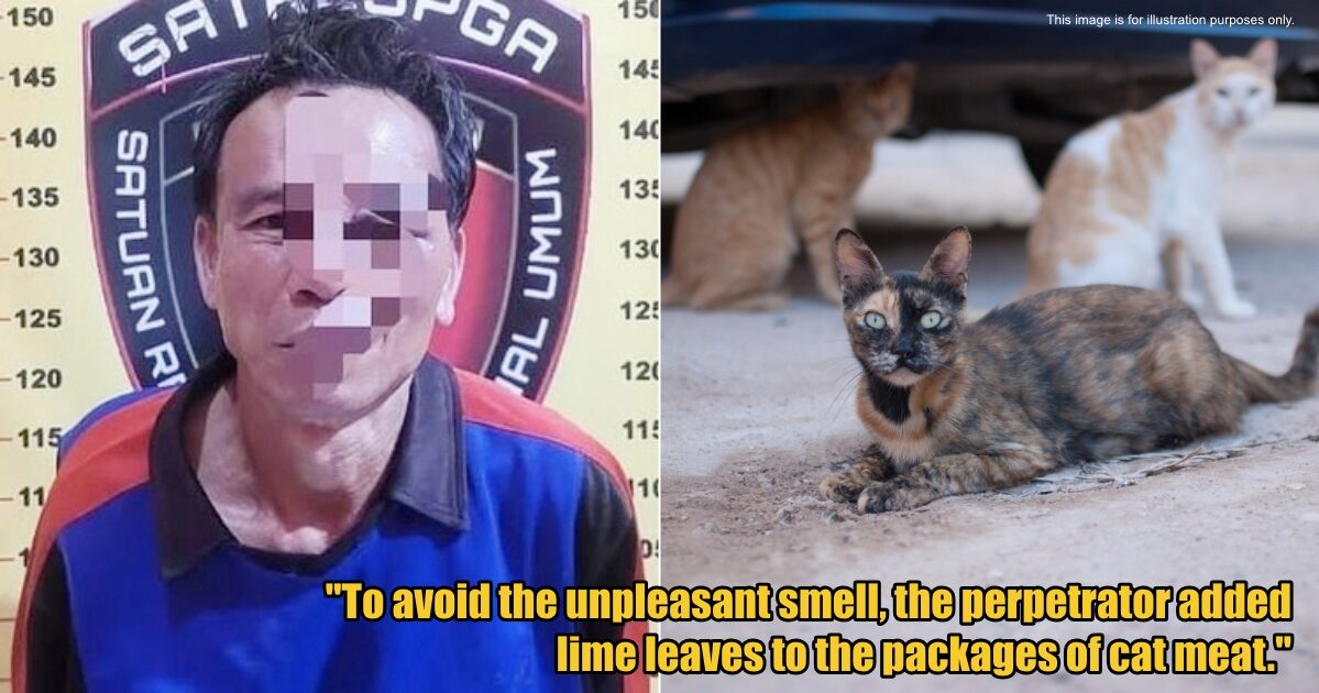 My Post 1 2025 09 05T092310.595