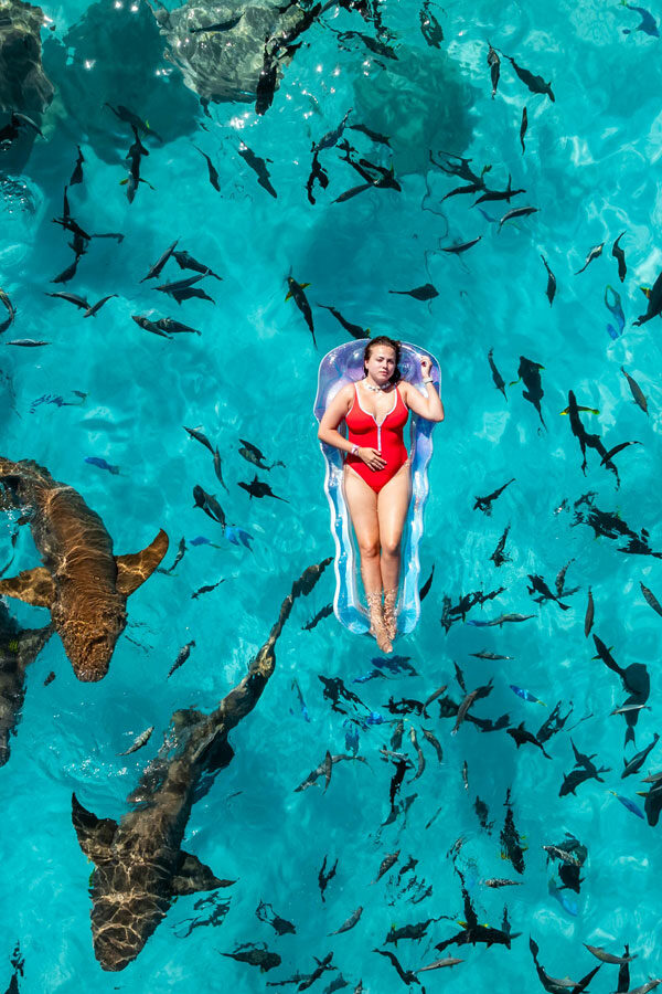 AAMaldives divider c 2