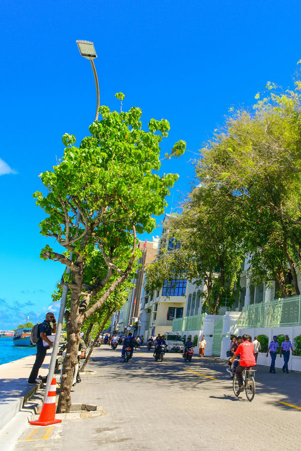 AAMaldives divider d 1