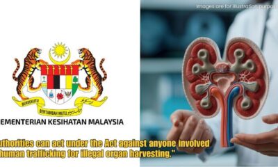 Dd FT 2025 10 02T155522.495