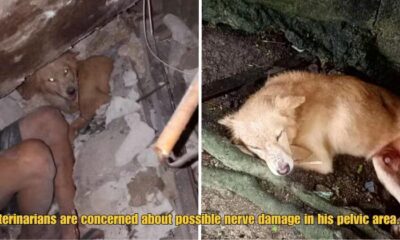 Dd FT 2025 10 07T113248.182