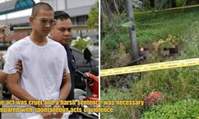 Dd FT 2025 10 16T094022.461