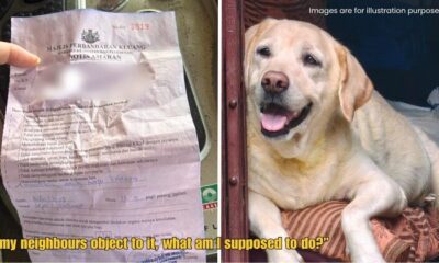 Dd FT 2025 10 24T150307.217