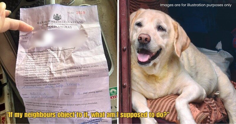 Dd FT 2025 10 24T150307.217