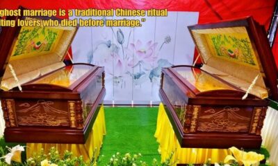 Dd FT 2025 10 29T151636.242