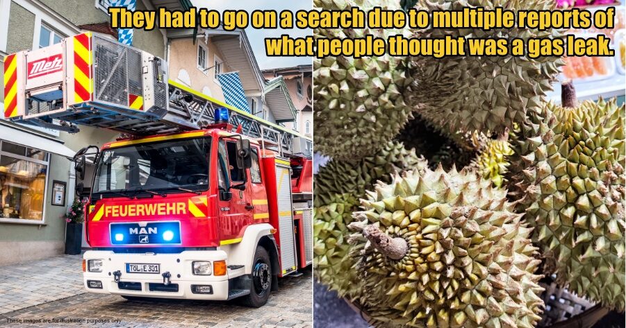 My Post 1 2025 10 06T104343.643