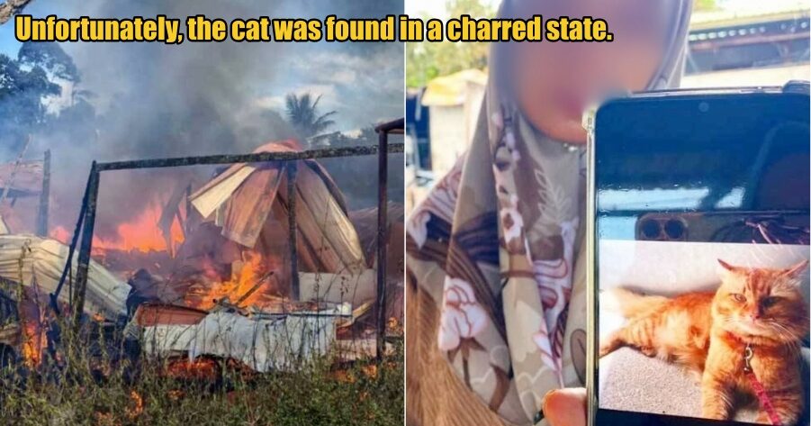 My Post 1 2025 10 14T124437.007