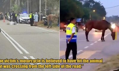 My Post 1 2025 10 28T143946.461