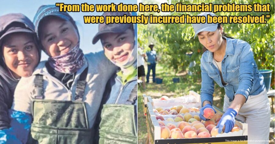 My Post 1 2025 10 30T100733.073