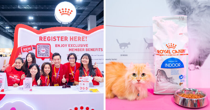 ROYAL CANIN FEATURE 1