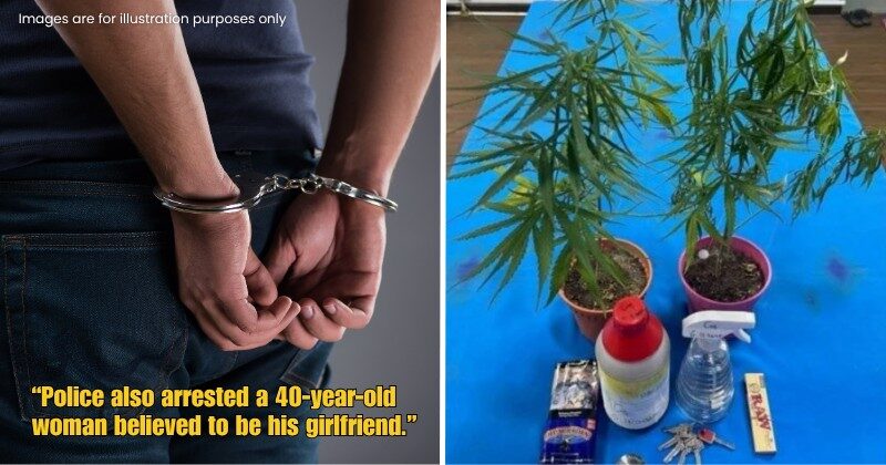 Dd FT 2025 11 07T122225.512