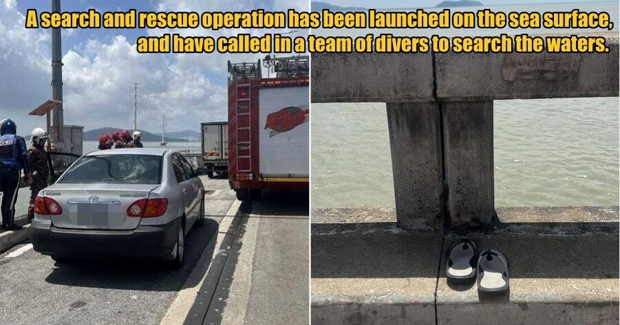 My Post 1 2025 11 05T160304.239