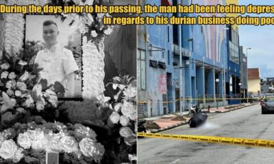 My Post 1 2025 11 07T114620.335