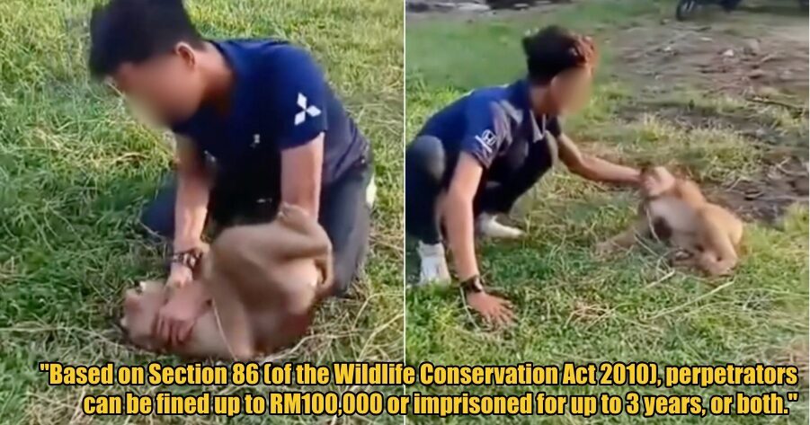 My Post 1 2025 11 14T144949.171