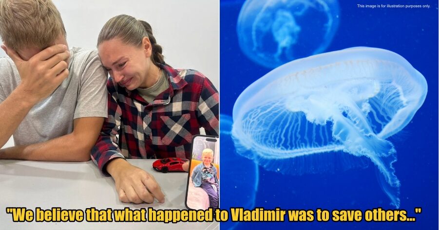 My Post 1 2025 11 20T110030.106