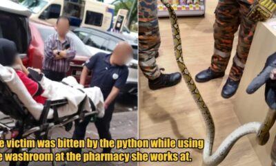 My Post 1 2025 11 24T112721.557 1