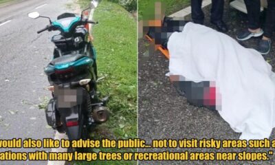 My Post 1 2025 11 28T151259.046