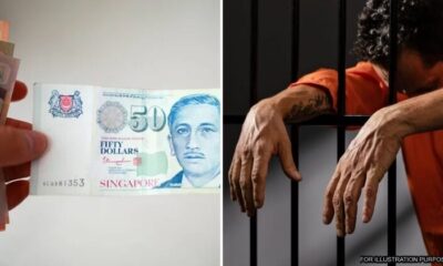 feat image zero tolerance