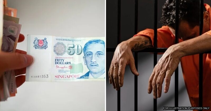 feat image zero tolerance