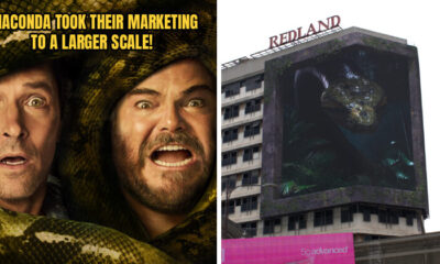 ANACONDA FEATURE 1 1