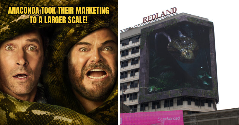 ANACONDA FEATURE 1 1