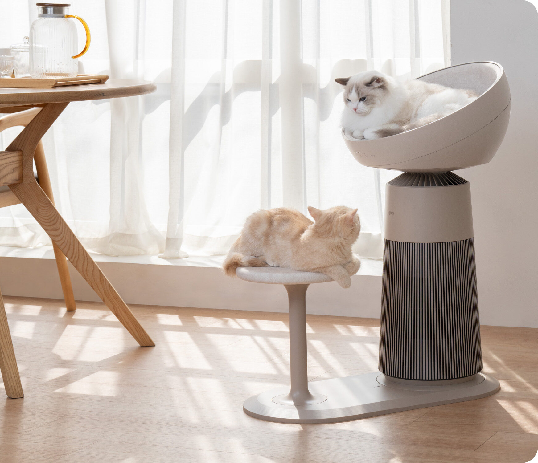 Lgaerocattower Cat Lifestyle 1