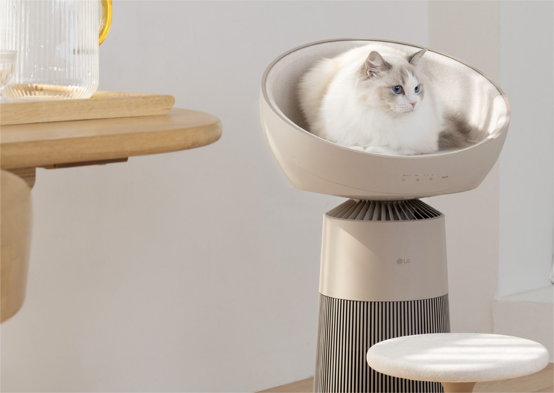 Lgaerocattower Cat Lifestyle 2