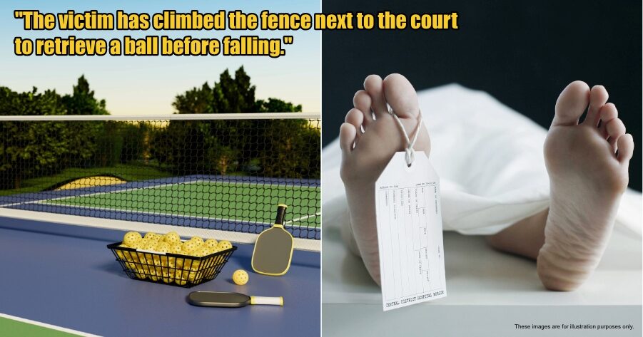 My Post 1 2025 12 04T110404.201