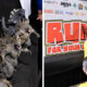 Godzilla Run Feature