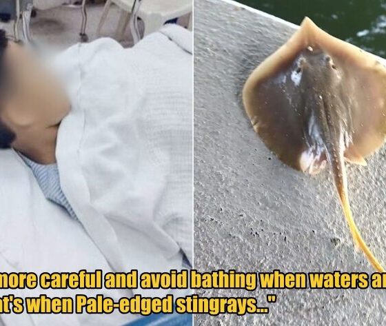 My Post 1 2026 01 05T154017.343