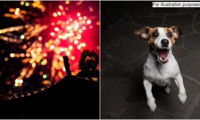 Collage 1 3