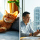 Unifi Feature 6
