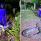 Feat Image Pythong