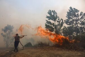 33 2 Indo Wildfire